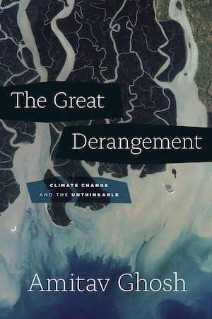 Book cover of «The Great Derangement» by Amitav Ghosh