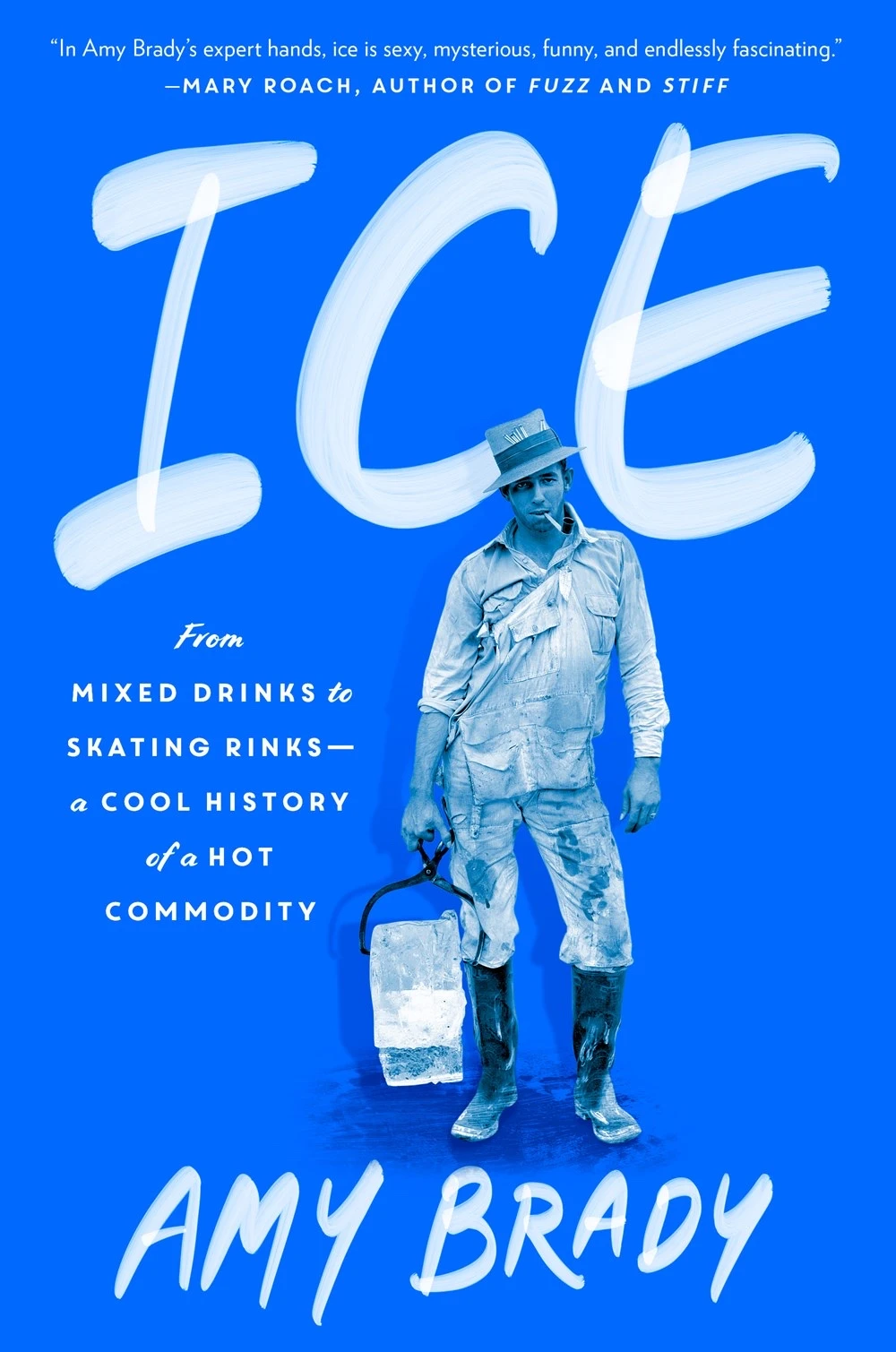 Book cover of «Ice» by Amy Brady