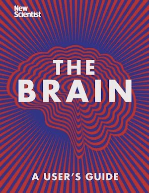 Book cover of «The Brain — A User's Guide» by The New Scientist